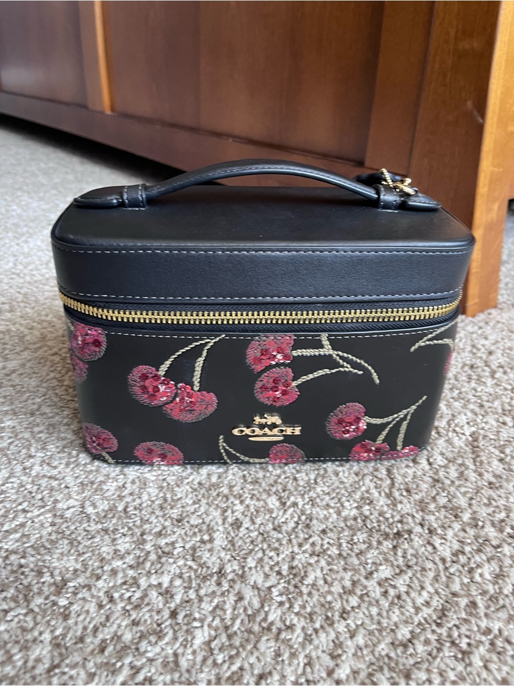 Coach Sparkly Cherry Print Leather Makeup Cosmetic Train Case